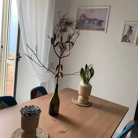 Charlotte Il Mulino * 피조