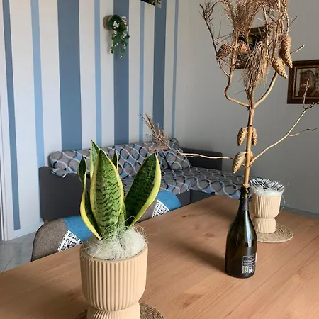 Charlotte Il Mulino *